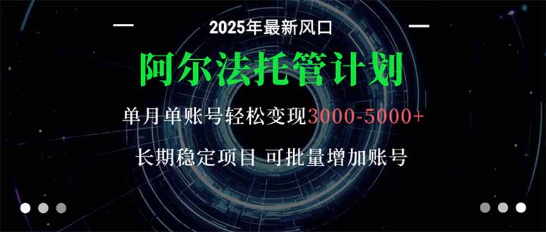 阿尔法托管计划 单账号月入3000-5000,长期稳定项目,新手小白轻松上手。-摇钱述